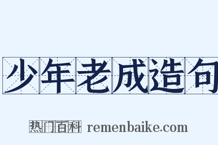 少年老成造句是什么意思的图片